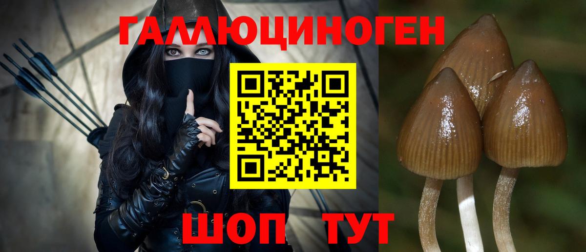 Псилоцибиновые грибы прущие грибы Мирный